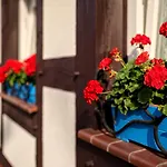 Rybacka Saule Homestay Ustka