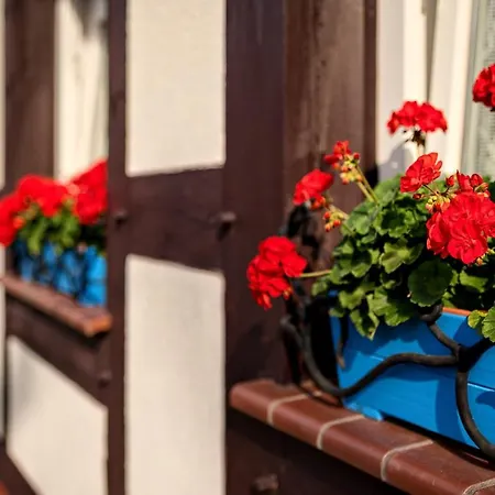 Rybacka Saule Homestay szállás Ustka