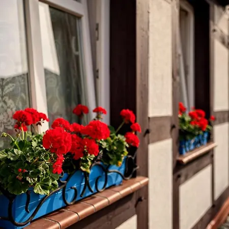 Séjour chez l'habitant Rybacka Saule Ustka